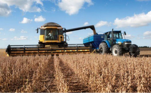 Argentina y OGM: Explorando la larga relación de la nación con los cultivos biotecnológicos