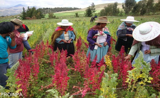 Bolivia se adhiere al Tratado Internacional sobre Recursos Fitogenéticos para la Alimentación y la Agricultura