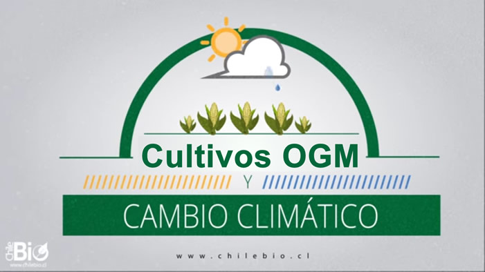Cultivos OGM para hacer frente al Cambio Climático