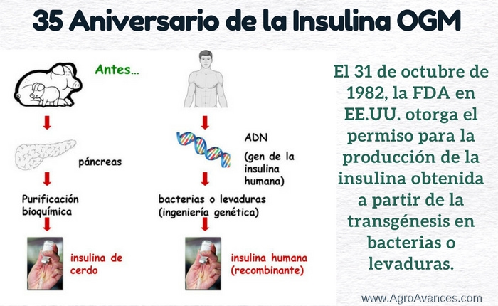 35 Aniversario de la Insulina a partir de OGM